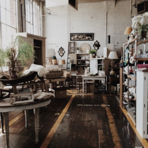 Vintage Book Collection